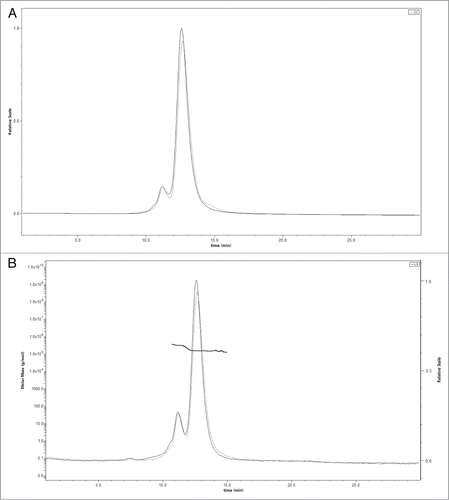 Figure 2. A and 2B. Size exclusion chromatography of a 10 mg/ml antibody solution in PBS before (solid line) and after (dotted line) nebulization with the Aerogen Solo. (A) UV signal; (B) MALLS signal. The left is Molecular Weight determined by MALLS and the right axis is light scatter in arbitrary units.