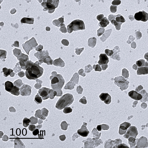 Figure 1. Electron micrograph of ZnONPS nanoparticles less than 100 nm.