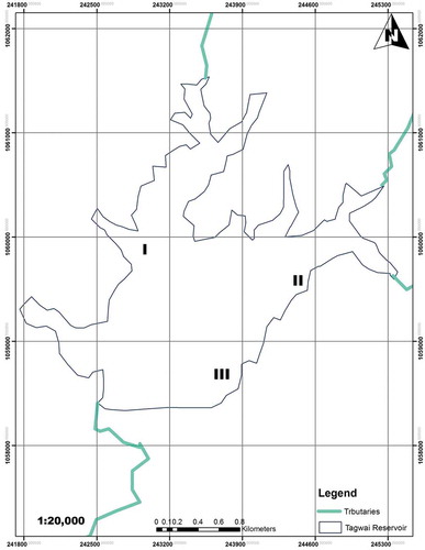 Figure 1. Map of Tagwai Reservoir showing the three sampling stations I, II and III during the study period.