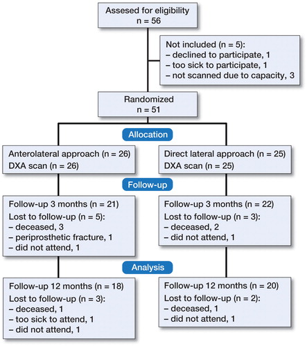 Figure 2. Flowchart of patients during the study.