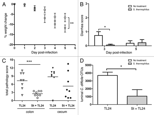 Figure 2.C. difficile infection using TL24 in mice is reduced by treatment with S. thermophilus. (A) Weight change was calculated relative to day 0 weight for each mouse. S. thermophilus treated mice (circles; n = 18) lost significantly less weight (p = 0.004 using Wilks’ Lambda multivariate test) than untreated control mice (triangles; n = 19). Calculated data include final weights from mice that succumbed to infection or were euthanized for sample collection. (B) S. thermophilus treated mice had significantly less diarrhea than untreated mice (*p = 0.02 using an unpaired t-test) on day three, but not day five. (C) The colon of mice treated with S. thermophilus had significantly less pathology (***p = 0.0009 using a unpaired t-test) while cecal tissues from S. thermophilus treated mice showed less (p = 0.13) than untreated mice three days post-infection. (D) Cecal contents from mice treated with S. thermophilus had significantly less C. difficile operational taxonomic units (OTUs) (*p = 0.05; n = 3/group) compared with untreated mice from metagenomic based data.