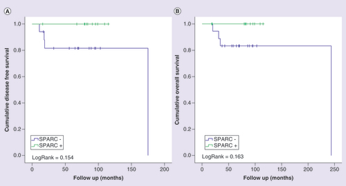 Figure 4.  Downregulation of SPARC is associated with poor prognosis of TNBC.Kaplan-Meier curves for disease-free (A) and overall (B) survival of triple-negative breast cancer patients, stratified according to SPARC protein expression. Patients were categorized as positive (moderate or intense) or negative (negative or weak) according to SPARC protein immunostaining. LogRank test was performed for curves comparison.