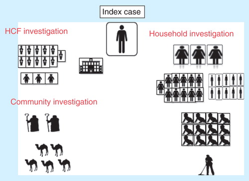 Figure 3. Investigation of MERS-CoV cases has multiple lines of investigation of the contacts of index case and includes contacts in the community, healthcare setting and household contact. Healthcare facility (HCF) investigation includes the investigation of all exposed healthcare workers and other exposed patients. Community investigation included the investigation of family contacts and the evaluation of any animal exposure, such as camels. Household investigation includes the investigation of all family members irrespective of the age group. The figure below shows the extent of the investigation of the first MERS-CoV case that originated in Bisha that included 53 contacts: household contacts (3 wives, 10 sons, 11 daughters, 12 grandchildren, and a housemaid), healthcare worker contacts (11 nurses and 3 physicians), and 2 shepherds, as well as investigation of the camels (N = 5) that he owned.