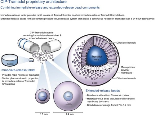 Figure 2 CIP-Tramadol proprietary delivery architecture.