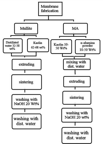 Figure 2. Schematic representation of procedures for membrane fabrication.