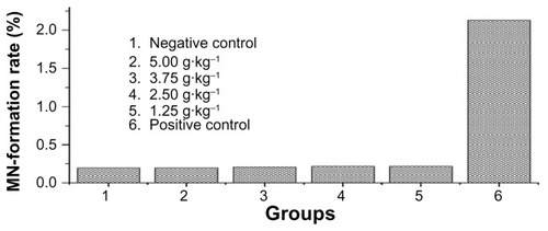 Figure 5 Results of micronucleus assay comparing experimental group with negative control group.Abbreviation: MN, micronucli.