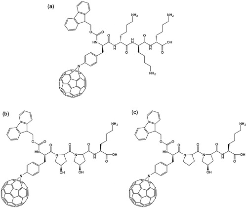 Figure 18. Structure of the C60-amino acid-based peptides synthesized and used in the HIV-1 PR inhibition studyCitation37.