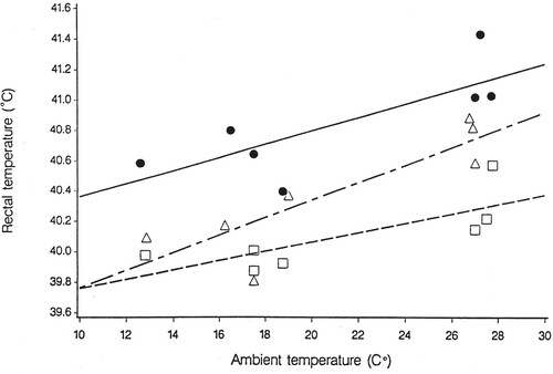 Figure 3. Effect of ryegrass/endophyte association and ambient temperature, in March 1992, on rectal temperature of grazing lambs (from Fletcher Citation1993b). Mean ergovaline content at time of testing were 1.3 μg/g DM for ‘Nui’ wild-type (Δ- __ - Δ), 4.7 μg/g DM for ‘Nui’ 187BB (●____ ●) and zero for ‘Nui’ Nil (□----□) (from Davies et al. Citation1993).