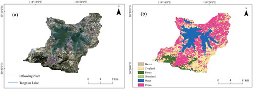 Figure 1. Remote sensing image (a) and land use (b) of Tangxun Lake Basin.