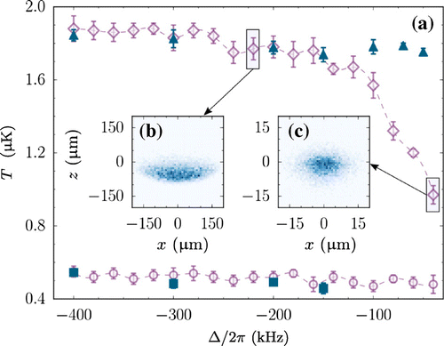 Figure 6. (a) The blue squares and purple circles represent the measured and simulated nMOT temperatures for S=1.9. The blue triangles and purple diamonds represent the measured and simulated nMOT temperatures for S=60. The dashed purple line is a guide to the eye. (b) and (c) are the theoretical absorption images for nMOT beam detunings of -2π×220kHz and -2π×40kHz, respectively.