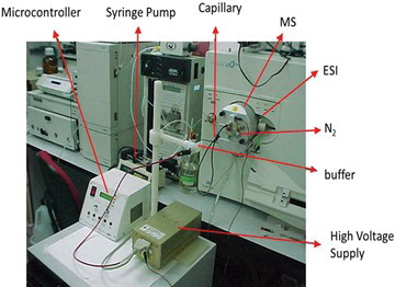 Fig. 1 Illustrative photo of the CE-MS system.
