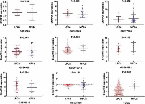 Figure 7. Expression levels of SNAP91 between LPCa samples and MPCa samples. TCGA: The Cancer Genome Atlas; SNAP91: synaptosome-associated protein 91; LPCa: localized prostate cancer; MPCa: metastatic prostate cancer