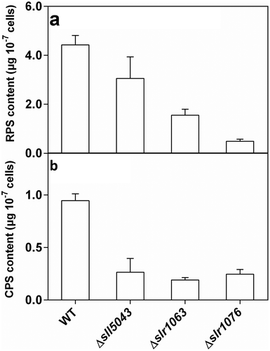 Fig. 1. (a) RPS and (b) CPS content of the WT and three mutants of Synechocystis 6803