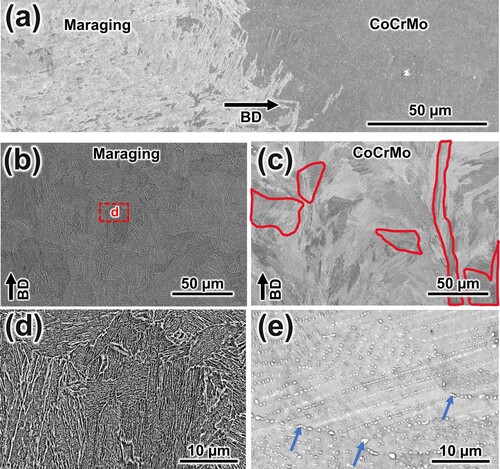 Figure 10. Microstructural features after HT3: (a) transition zone, (b, d) maraging steel lath structure and (c, e) CoCrMo structure.