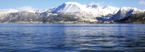 Figure 1.  A view of Hardangerfjorden in winter (Photo: Vivian Husa).