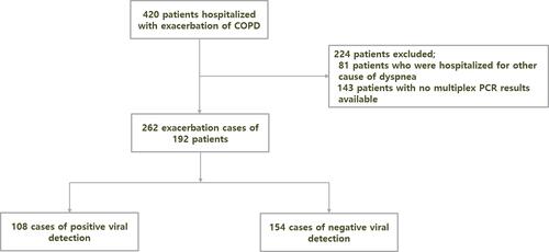 Figure 1 Flowchart of participant enrollment. A total of 420 patients were hospitalized with acute exacerbation of chronic obstructive pulmonary disease. After excluding patients who were hospitalized for other causes of dyspnea and those with no multiplex polymerase chain reaction (PCR) results available, 262 final exacerbation cases from 192 patients were enrolled in the study.