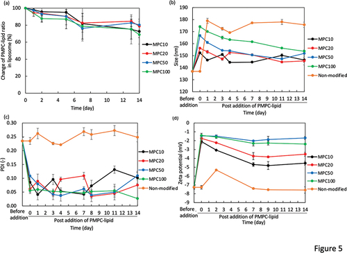 Figure 5. Evaluation of the long-term stability of PMPC-lipid-modified liposomes by measuring the (a) PMPC-lipid ratio via phosphorus quantification, and DLS-analysis of their (b) size, (c) PDI, and (d) zeta potential. All the liposomes were stored at 37°C. Prepared liposomes before mixing with PMPC-lipids are indicated as Before addition. As a control, non-modified liposome was used, and there was some aggregation and precipitates observed during the storage period.