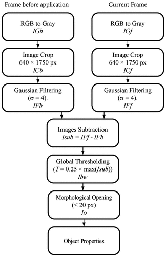 Figure 2. Algorithm.