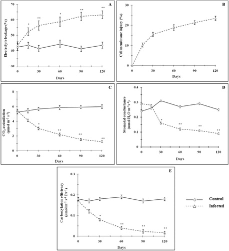 Figure 4. Effect of mite infestation on electrolyte leakage (A), cell membrane injury (B), CO2 assimilation (C), stomatal conductance (D), and carboxylation efficiency (E). Values are expressed as mean ± SD. *Values differ significantly (p < 0.05) from control. **Values differ significantly (p < 0.01) from control.