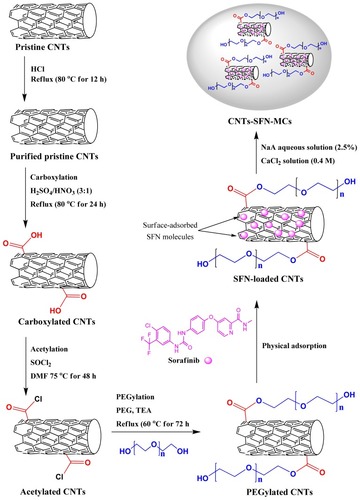 Figure 1 Schematic illustration of the synthesis of CNTs-SFN-MCs.