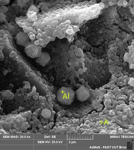Figure 10. SEM – microstructure of fractured and HF etched sintered body KAAC (al-corundum, A-anorthite).