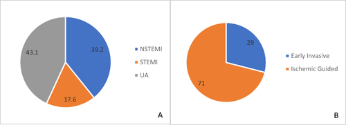 Figure 2 Distribution of patients (N=255). (A) ACS type; (B) Treatment strategy applied.