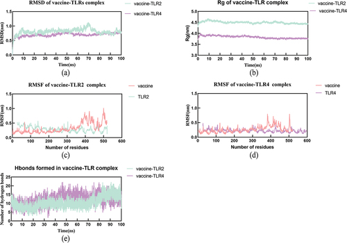 Figure 6. The results of molecular dynamics simulation.