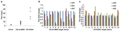 Figure 3. Evaluation of GS R324C as a selection marker for the generation of anti-CD20 antibody GA101 expressing stable cells. (a) Antibody GA101 titers of CHO-GS−/- stable pools have been generated using GSwt or R324C as the selection marker in a bicistronic vector. At least three independent stable pools were generated under each condition in CHO-GS−/- clone 1. The GSwt pools that survived the L-glutamine deprivation selection were further treated with 25 μM MSX (GSwt + MSX) to improve the antibody production. Batch culture titers were analyzed using nephelometer IgG reagent measurement. Stability assessment of single clones isolated from one of the bicistronic GSwt + MSX (b) or R324C (c) stable pools over at least 60 generations for antibody GA101 production. IgG titers were normalized to week 0 (MSX removal) for each clone in glutamine-free media.