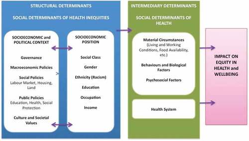 Figure 1. Social Determinants of Health framework.