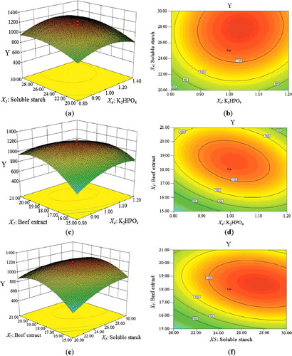 Figure 3. Response surface plots of the effects of three factors on antimicrobial activity. (a and b) Interaction of X4 (K2HPO4) and X5 (soluble starch); (c and d) interaction of X4 (K2HPO4) and X7 (beef extract); (e and f) interaction of X5 (soluble starch) and X7 (beef extract).