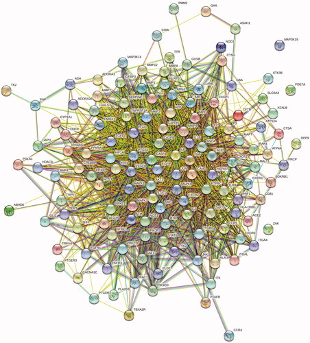 Figure 3. Protein–protein interaction network. The colour and its shades represent the size of the degree value.