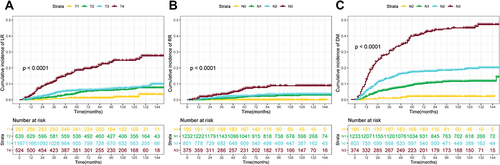 Figure 2 The cumulative incidence of local recurrence (LR) by T stage (A), regional recurrence (RR) by N stage (B), and distant metastasis (DM) by N stage (C).