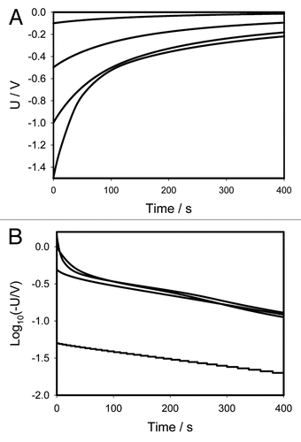 Figure 3 (A) Time dependence of electrical discharge in Mimosa pudica's pinna between electrodes connected to 47 µF charged capacitor (− in a secondary pulvinus and + in a rachis). Location of Pt-electrodes is shown in Figure 1. These results were reproduced 16 times. (B) Time dependence of electrical discharge in the Mimosa pudica's pinna between electrodes connected to charged capacitors in logarithmic coordinates. U is the capacitor voltage in volts.