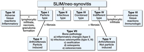 Figure 1. Consensus classification of the SLIM (Krenn et al. Citation2014b). The SLIM can be categorized in four histopathological main types (I–IV) and three subtypes (V–VII).