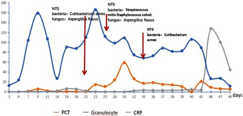 Figure 1. Neutrophile, C-reactive protein, and procalcitonin levels during the observation period.