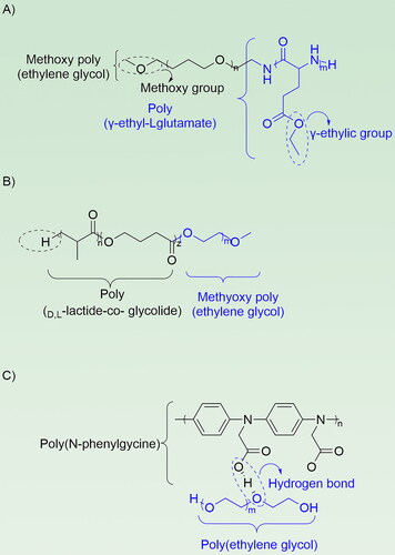 Figure 3. The structure of eblock copolymers. (A) The copolymer mPEG-b-PELG was formed by the ring-opening reaction of copolymer poly(ethylene glycol) and poly(γ-ethyl-L-glutamate); (B) Bi(mPEG-PLA) is formed by polymerization of two poly (D,L-lactide-co-glycolide), and the hydroxyl group of poly (D,L-lactide-co-glycolide) can be conjugated with platinum(IV); (C) PEG-PNPG is polymerized from poly(ethylene glycol)-poly(N-phenylglycine), and PNPG can absorb NIR to achieve photothermal combination therapy.