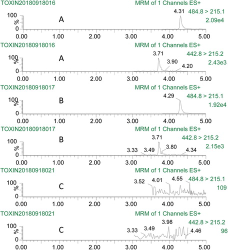 Figure 3. MRM chromatograms of matrix standard (A), spiked samples (B), and blank control samples (C) for T-2 toxin (484.4 > 215.1) and HT-2 toxin (442.8 > 215.2).