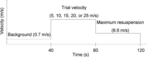 FIG. 2 Timeline of experimental events.