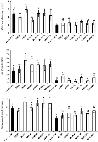 Figure 1. Influence of amendment of biochar and biochar + manure on the water use efficiency, leaf area index and aboveground plant biomass of spinach grown under wastewater and groundwater irrigation.