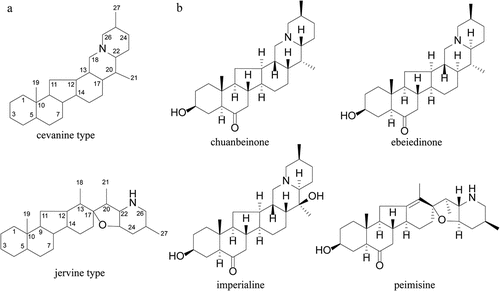 Figure 1. The skeleton types of alkaloids. (a) The different skeletons of alkaloids. (b) The chemical structures of four isosteroid alkaloids.