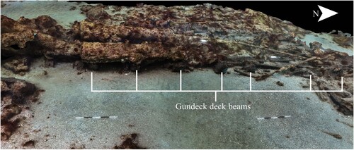 Figure 5. Image from the 2019 textured model, showing position of deck beams. Scales are 1 m with 20 cm increments (survey and model produced by Daniel Pascoe).