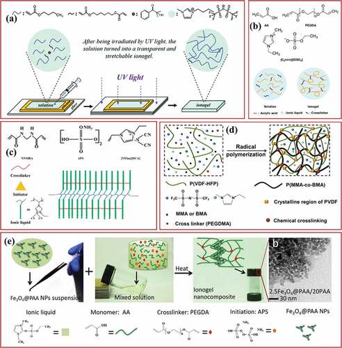 Figure 1. Free radical polymerization of ionogel. (a) The one-pot photopolymerization of ionogel based on BA, HDDA and [BMIM]TFSI through 1173 photoinitiator [Citation40]. (b) The photopolymerization of ionogel based on AA, PEGDA and [C2mim][EtSO4] [Citation42]. (c) The thermal polymerization of NNMBA [Citation44]. (d) The one-pot thermal polymerization of DN ionogel [Citation47]. (e) Integrating metal coordination bonds in a loosely cross-linked network of ionogel during thermal polymerization [Citation48]