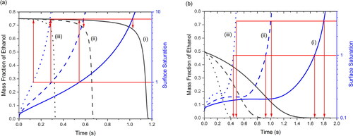 Figure 7. Mass fraction of ethanol and surface saturation of leucine in the evaporating droplet with initial water/ethanol ratio of (a) 0.25/0.75 w/w and (b) 0.5/0.5 w/w at a drying temperature of (i) 20 °C, (ii) 40 °C, and (iii) 80 °C. Red arrows point to the mass fraction of ethanol when surface saturation reaches 1 and the critical supersaturation (7.9 in (a) and 3.5 in (b)).