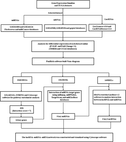 Figure 1. A flowchart diagram for used bioinformatics analysis in the present study.