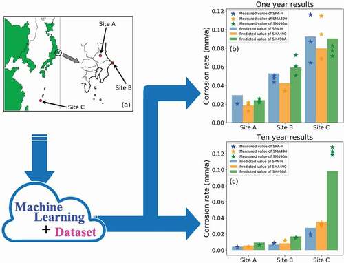 Figure 6. The application of machine learning models for corrosion resistance evaluation on the basis of very limited material and environmental information. (a) illustration of three different atmospheric exposure sites [Citation28]; the measured corrosion rate (star icons, three parallel samples) vs. predicted corrosion rate (bar plot) of typical low-alloy steel SPA-H, SMA490 and SM490A after (b) one and (c) ten years of exposure.