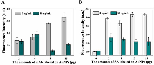 Figure 1. Optimization of the probe preparation parameters. (A) Amounts of mAb labelled on AuNPs (B) Amounts of SA labelled on AuNPs.