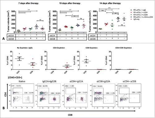 Figure 3. Deciphering the role of T-cell populations in mediating response to RT+anti PD-L1. Mice (n = 5/group) received T-cells depletion antibodies (CD4, CD8 or both) or IgG control 1-week before tumor inoculation. Mice were treated with RT+anti PD-L1 or IgG as described in the methods. Tumor volume was assessed to determine the effect of CD4 and CD8 T-cell depletion on tumor growth.