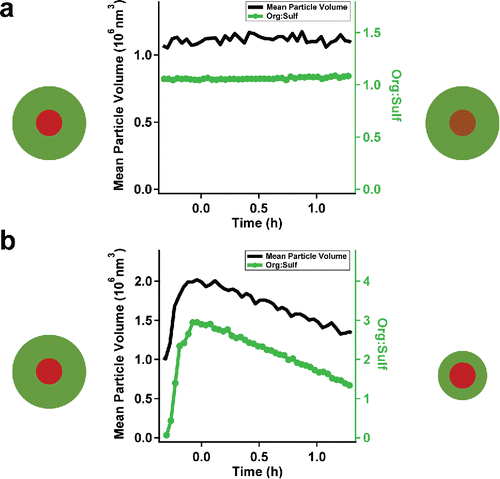 Figure 1. Mean particle volume and org:sulf of ammonium sulfate particles containing glucose (a) and oleic acid (b). Symbols represent the change of organics on the ammonium sulfate seeds. Glucose (a) did not show any obvious change. Oleic acid (b) showed substantial vapor loss.