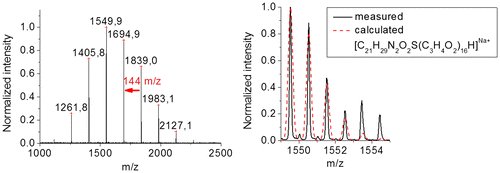 Figure 10. Characterization of P1 via mass spectrometry. Full MALDI-TOF mass spectrum (left) and overlay of calculated and measured isotopic patterns from ESI-TOF MS analysis (right).