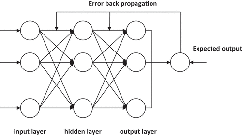 Figure 1. Topological structure of BPNN.